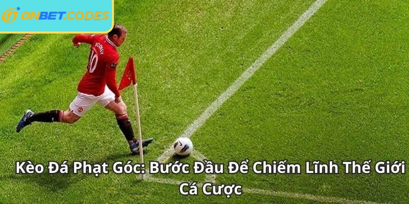 Corner Bet  đặt cược dựa trên tổng số quả phạt góc